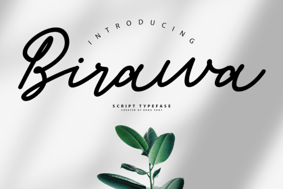 Birawa: A Fresh Take on Modern Script Typography