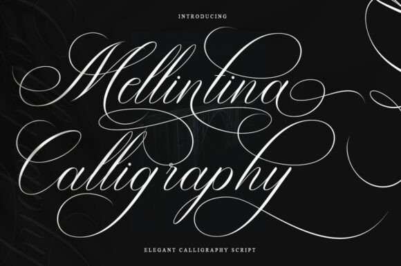 Melintina Calligraphy: Where Classic Grace Meets Modern Style