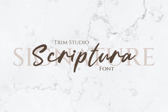 Scriptura: The Art of Digital Handwriting
