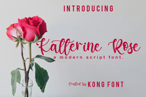 Why Katterine Rose Feels Like a Creative Conversation
